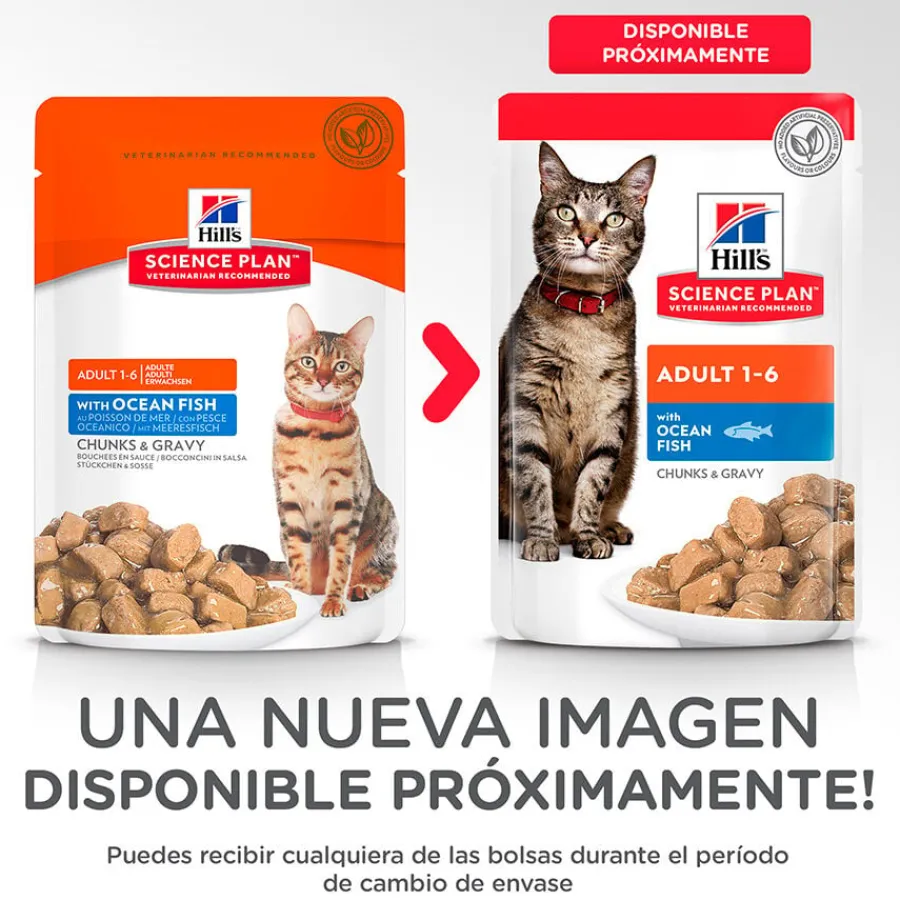 Hill's Science Plan Adult Pescado sobre para gatos Discount