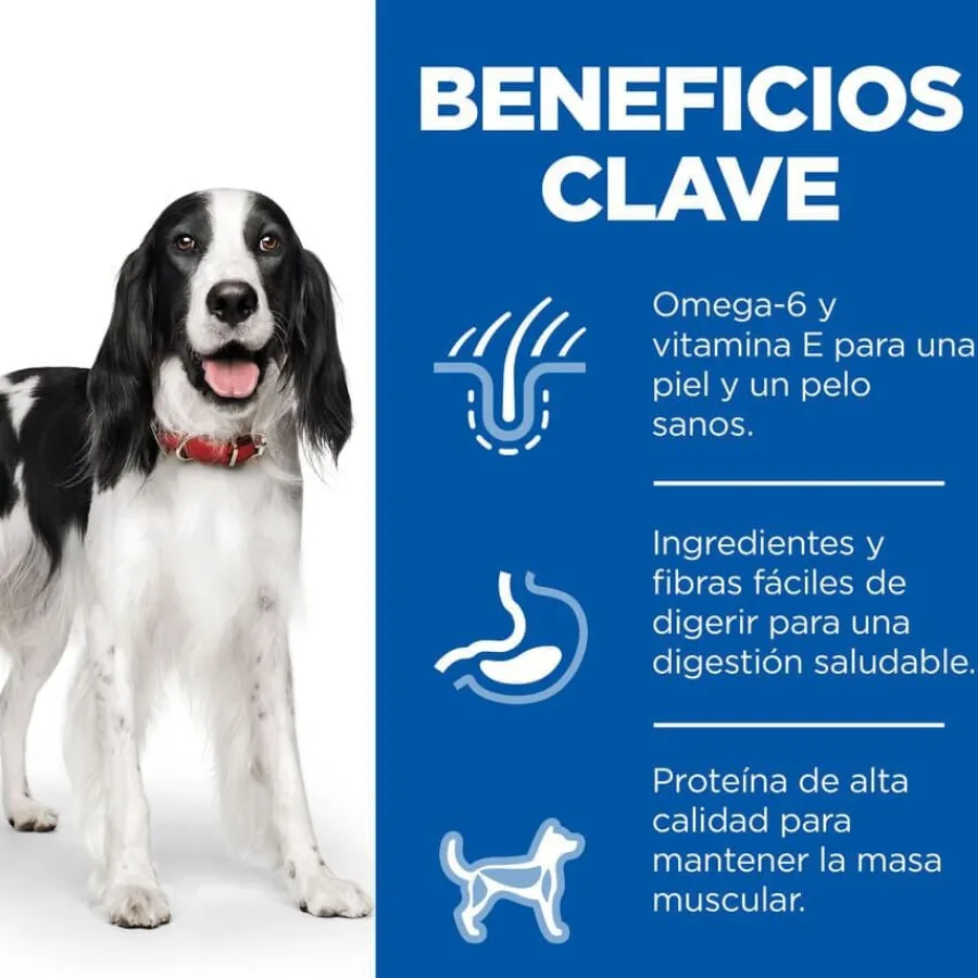 Hill's Science Plan Adult Medium Pollo pienso para perros Discount