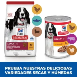 Hill's Science Plan Adult Medium Pollo pienso para perros Discount