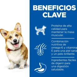 Hill's Science Plan Adult Small y Mini Pollo pienso para perros Best