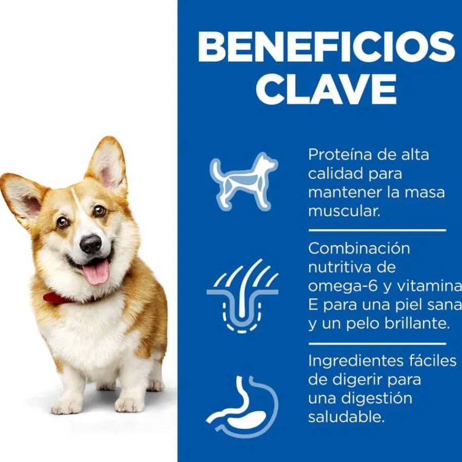Hill's Science Plan Adult Small y Mini Pollo pienso para perros Best