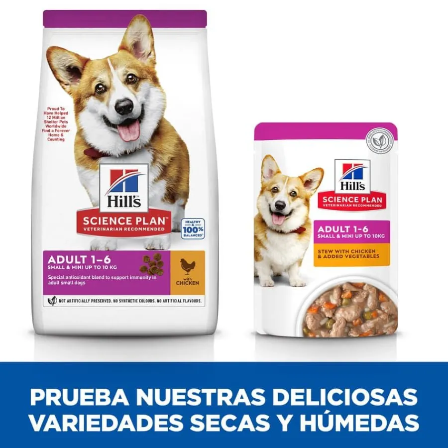 Hill's Science Plan Adult Small y Mini Pollo pienso para perros Best