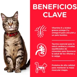 Hill's Science Plan Adult Pollo sobre para gatos Best
