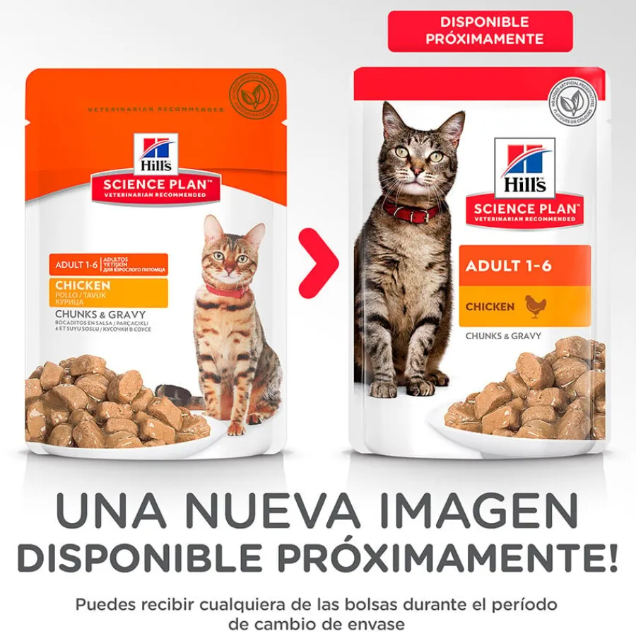 Hill's Science Plan Adult Pollo sobre para gatos Best