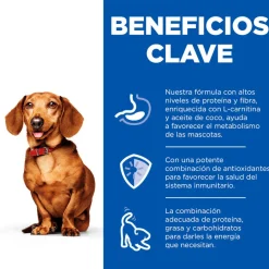 Hill's Science Plan Adult Small y Mini Perfect Weight Mousse de Pavo lata para perros Discount