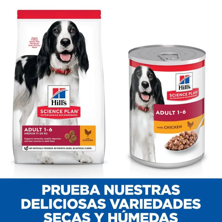 Hill's Science Plan Adult pollo lata para perros Hot