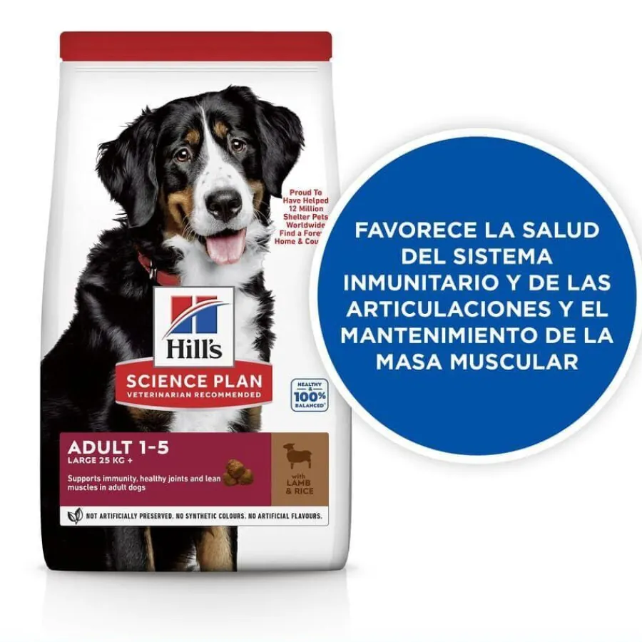 Hill's Science Plan Adult Large Cordero pienso para perros New