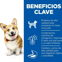 Hill's Science Plan Adult Small y Mini Cordero pienso para perros Discount