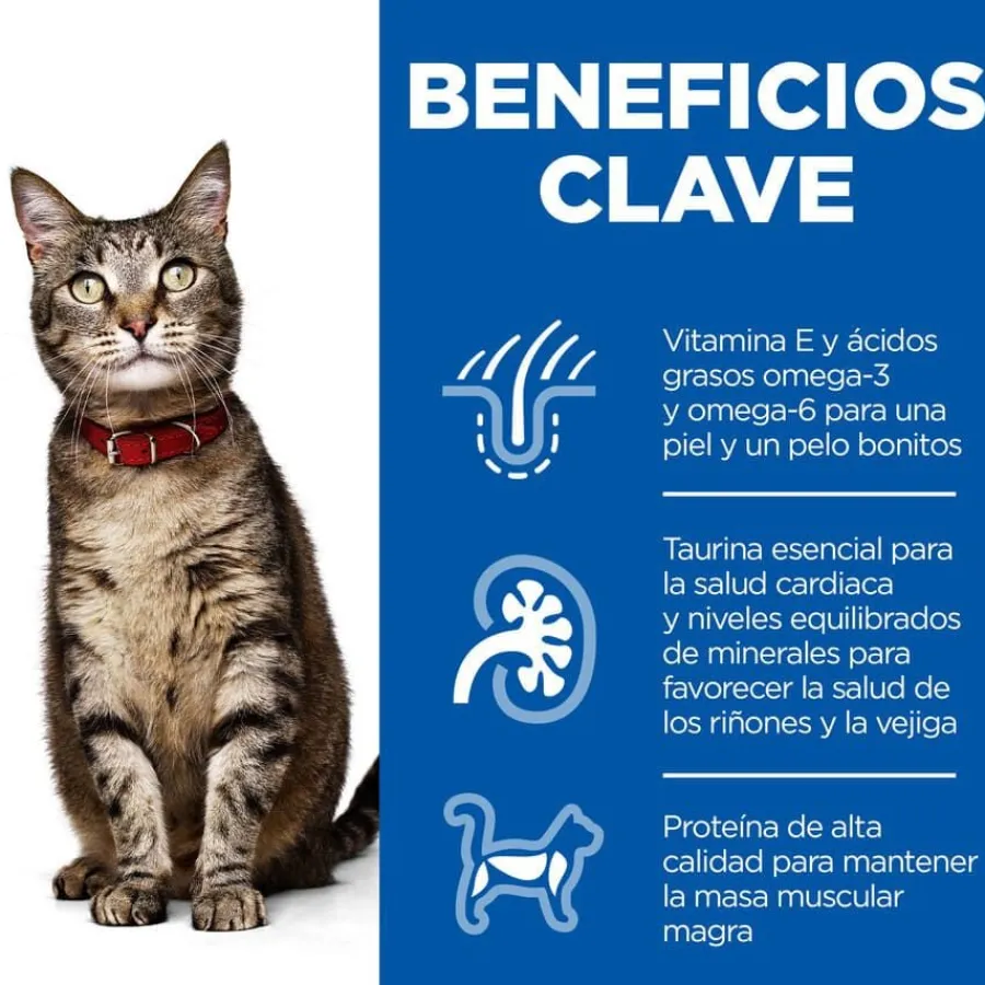 Hill's Science Plan Adult Pollo pienso para gatos Clearance