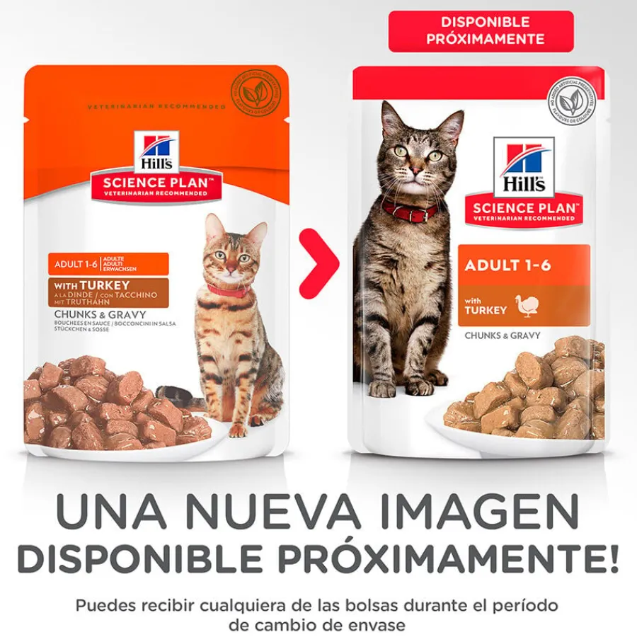 Hill's Science Plan Adult Pavo sobre para gatos Sale