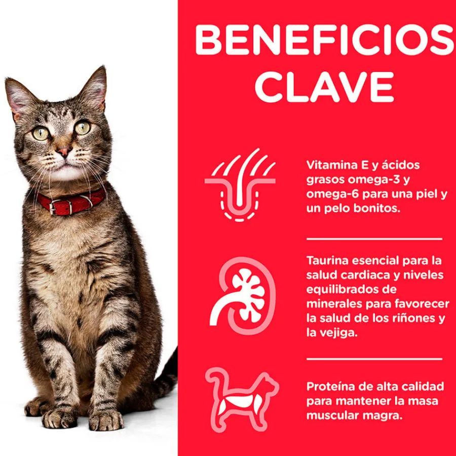 Hill's Science Plan Adult Pavo sobre para gatos Sale
