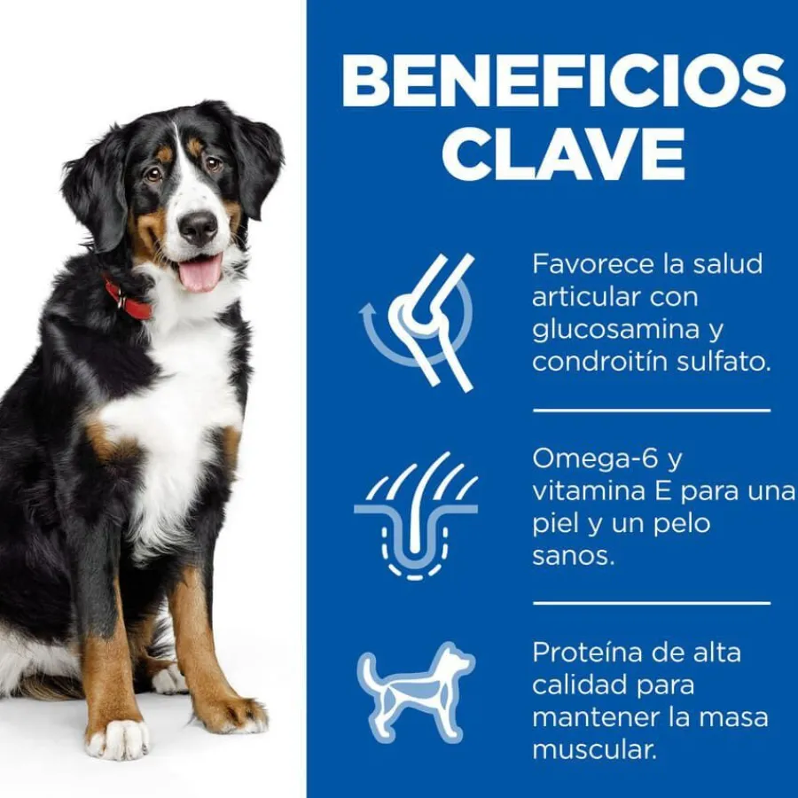 Hill's Science Plan Adult Large Pollo pienso para perros New