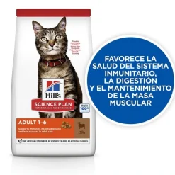Hill's Science Plan Adult Cordero pienso para gatos Best