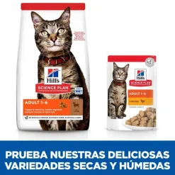 Hill's Science Plan Adult Cordero pienso para gatos Best