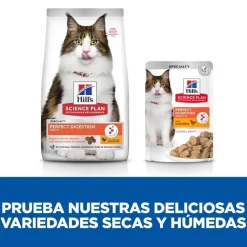 Hill's Science Plan Adult Perfect Digestion Pollo comida húmeda para gatos Sale