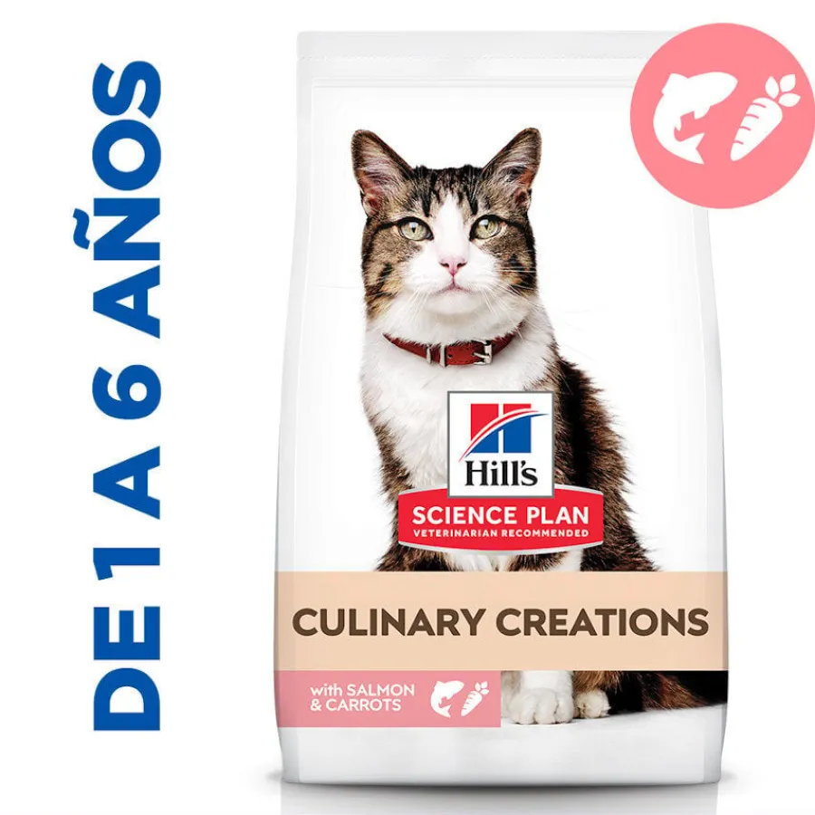 Hill's Science Plan Culinary Creations Salmón y Zanahorias pienso para gatos New