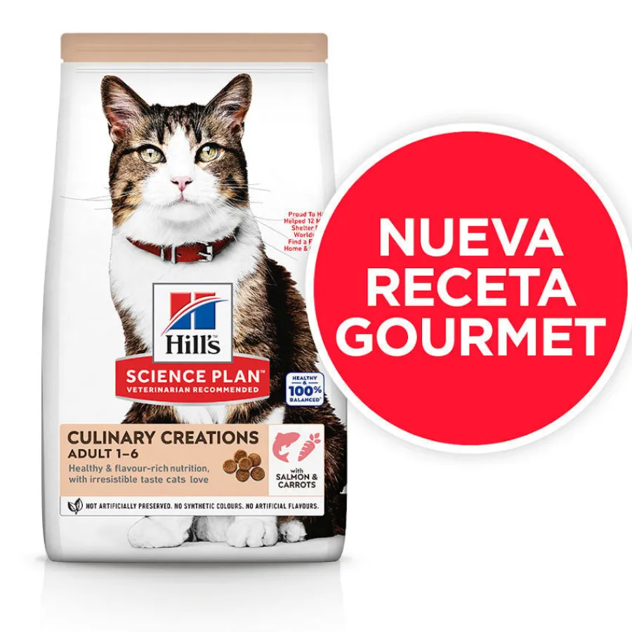 Hill's Science Plan Culinary Creations Salmón y Zanahorias pienso para gatos New