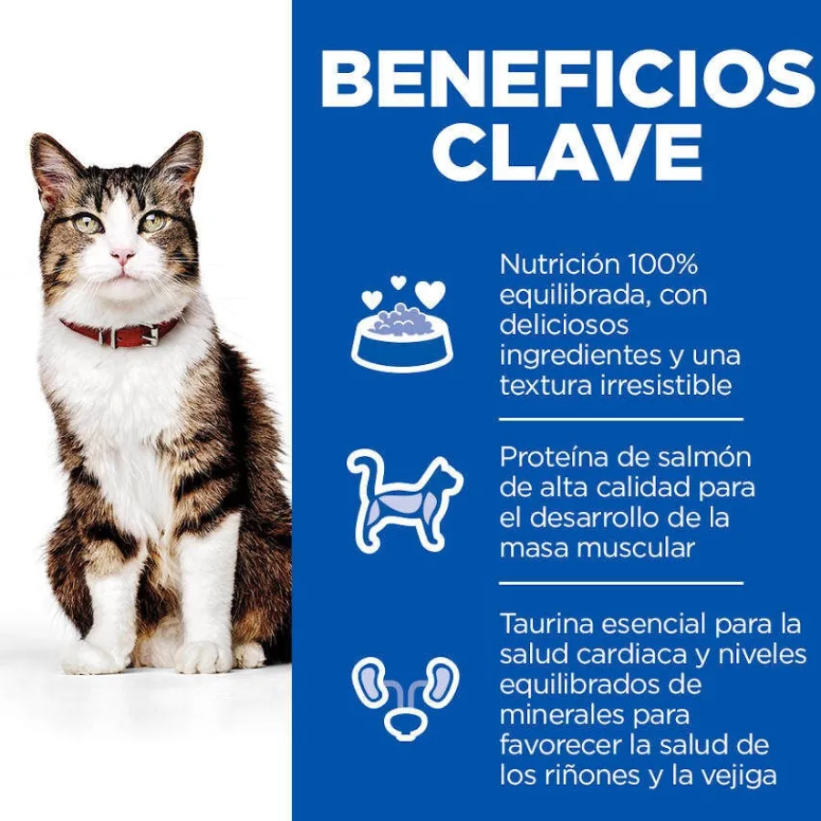 Hill's Science Plan Culinary Creations Salmón y Zanahorias pienso para gatos New
