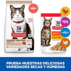 Hill's Science Plan Culinary Creations Salmón y Zanahorias pienso para gatos New