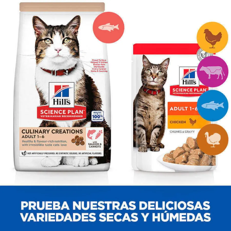 Hill's Science Plan Culinary Creations Salmón y Zanahorias pienso para gatos New