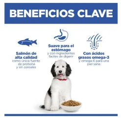 Hill's Science Plan Hipoalergénico Large Salmón pienso para perros Outlet
