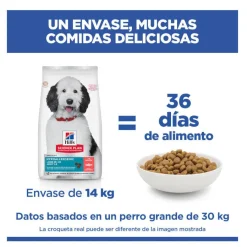 Hill's Science Plan Hipoalergénico Large Salmón pienso para perros Outlet
