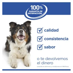 Hill's Science Plan Hipoalergénico Small y Mini Salmón pienso para perros Sale