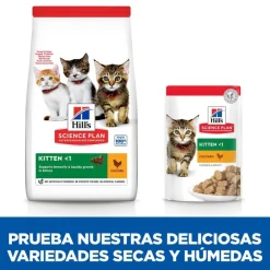 Hill's Science Plan Kitten Pollo pienso para gatos Hot