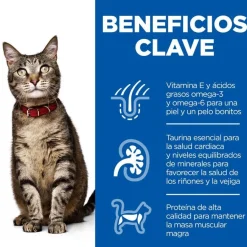 Hill's Science Plan Light Adult Pollo pienso para gatos New