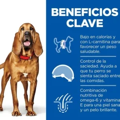 Hill's Science Plan Light Mature Adult 7+ Medium Pollo pienso para perros Online