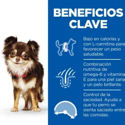 Hill's Science Plan Light Adult Small y Mini Pollo pienso para perros Best