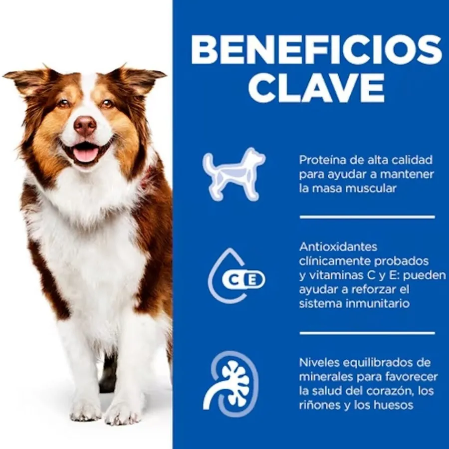 Hill's Science Plan Mature Adult 7+ Ternera en Paté lata para perros Clearance