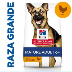 Hill's Science Plan Mature Adult Large Pollo pienso para perros New