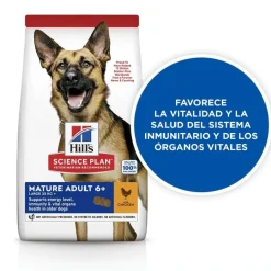 Hill's Science Plan Mature Adult Large Pollo pienso para perros New