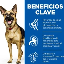 Hill's Science Plan Mature Adult Large Pollo pienso para perros New