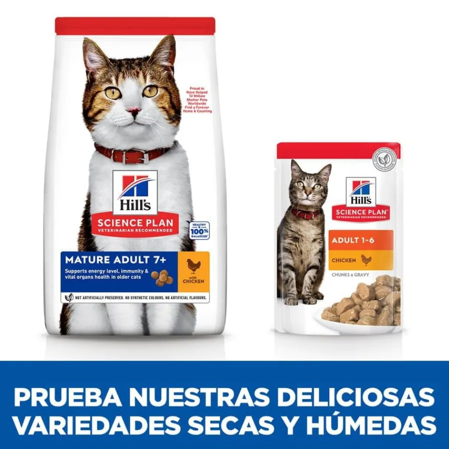 Hill's Science Plan Mature Adult 7+ Pollo pienso para gatos Clearance