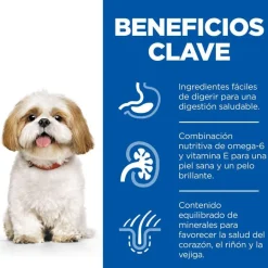 Hill's Science Plan Mature Adult Small y Mini pollo pienso para perros Clearance