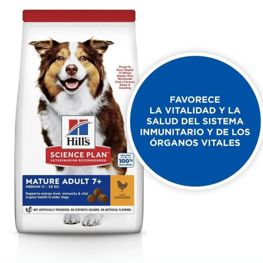 Hill's Science Plan Mature Adult Medium Pollo pienso para perros New