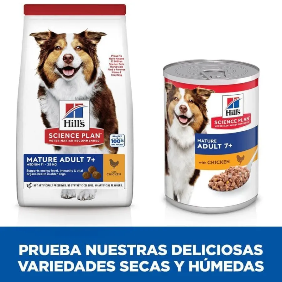 Hill's Science Plan Mature Adult Medium Pollo pienso para perros New