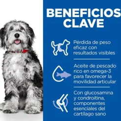 Hill's Science Plan Perfect Weight y Active Mobility pollo pienso para perros medianos Outlet