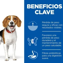 Hill's Science Plan Perfect Weight Adult Medium Pollo pienso para perros Clearance