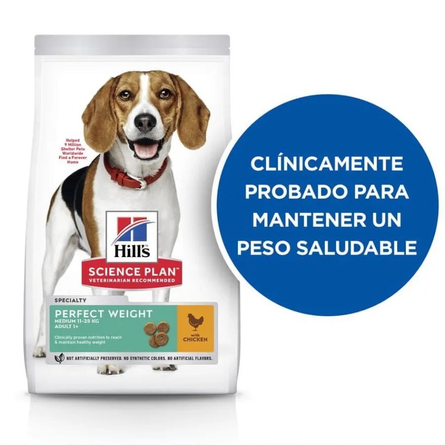 Hill's Science Plan Perfect Weight Adult Medium Pollo pienso para perros Clearance