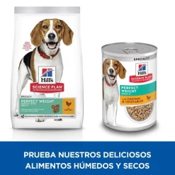 Hill's Science Plan Perfect Weight Adult Medium Pollo pienso para perros Clearance