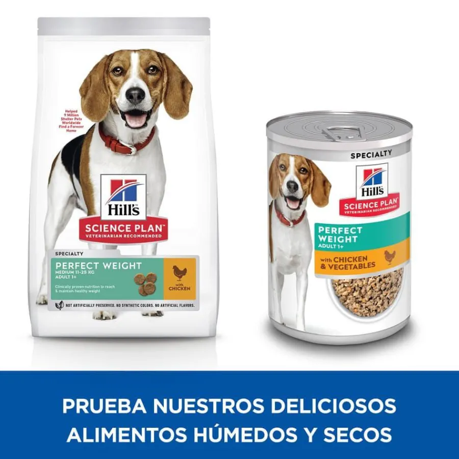 Hill's Science Plan Perfect Weight Adult Medium Pollo pienso para perros Clearance