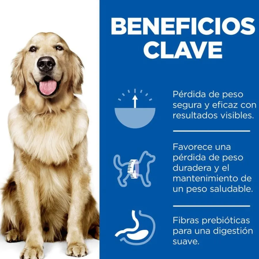Hill's Science Plan Perfect Weight Adult Large Pollo pienso para perros Best