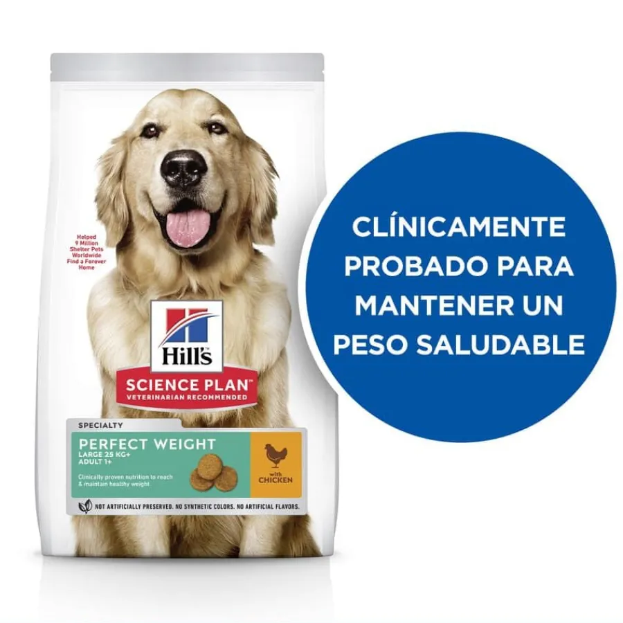 Hill's Science Plan Perfect Weight Adult Large Pollo pienso para perros Best