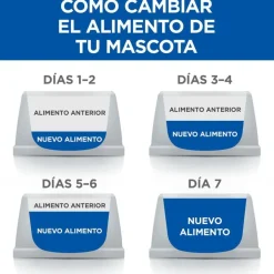 Hill's Science Plan Perfect Weight Adult Large Pollo pienso para perros Best