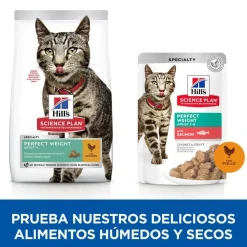 Hill's Science Plan Perfect Weight Adult pollo pienso para gatos Discount