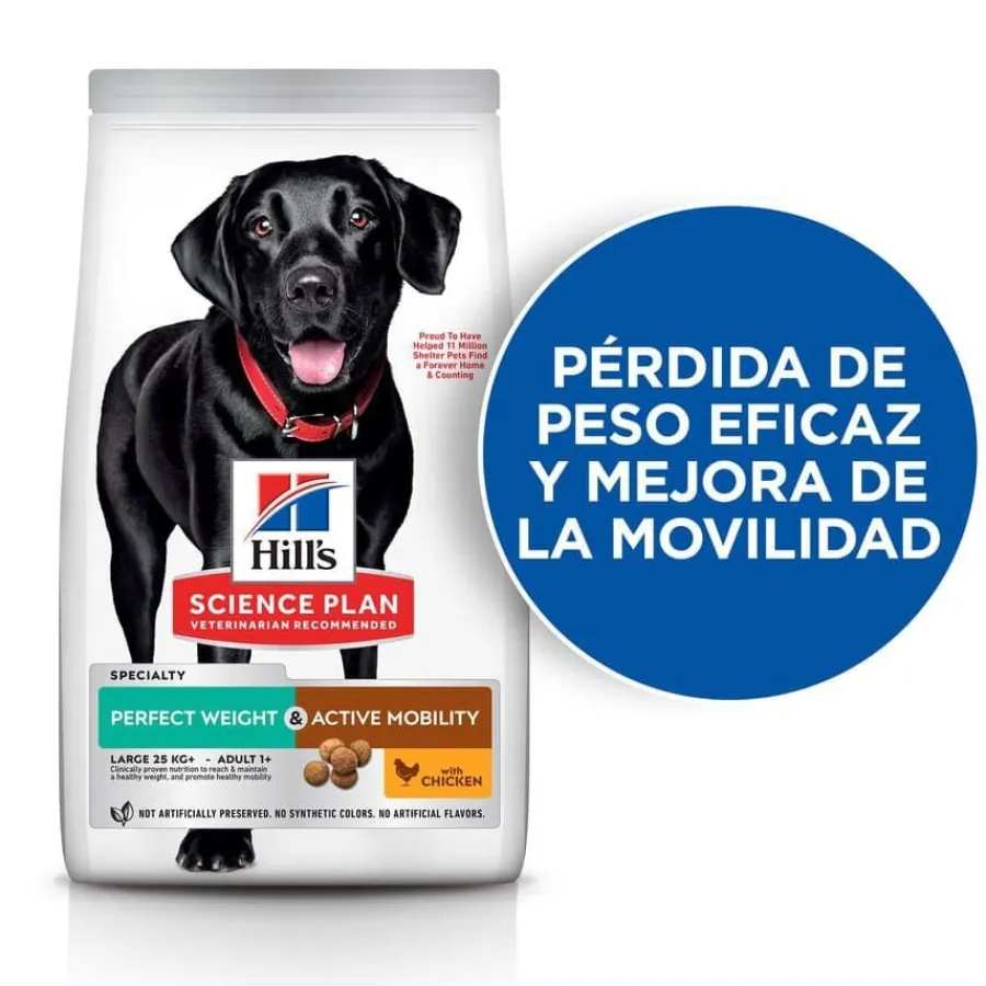 Hill's Science Plan Perfect weight y Active Mobility pollo pienso para perros grandes