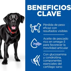 Hill's Science Plan Perfect weight y Active Mobility pollo pienso para perros grandes